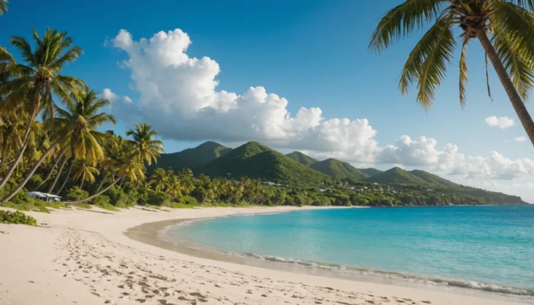 vivre a saint martin