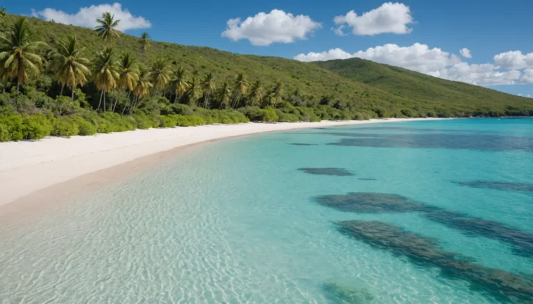 vivre nouvelle caledonie